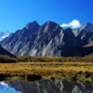 Meet your Posher, Yani